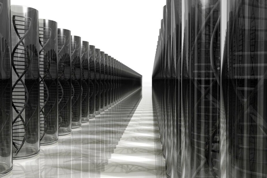 replicas of DNA displayed in rows of transparent cylinders
