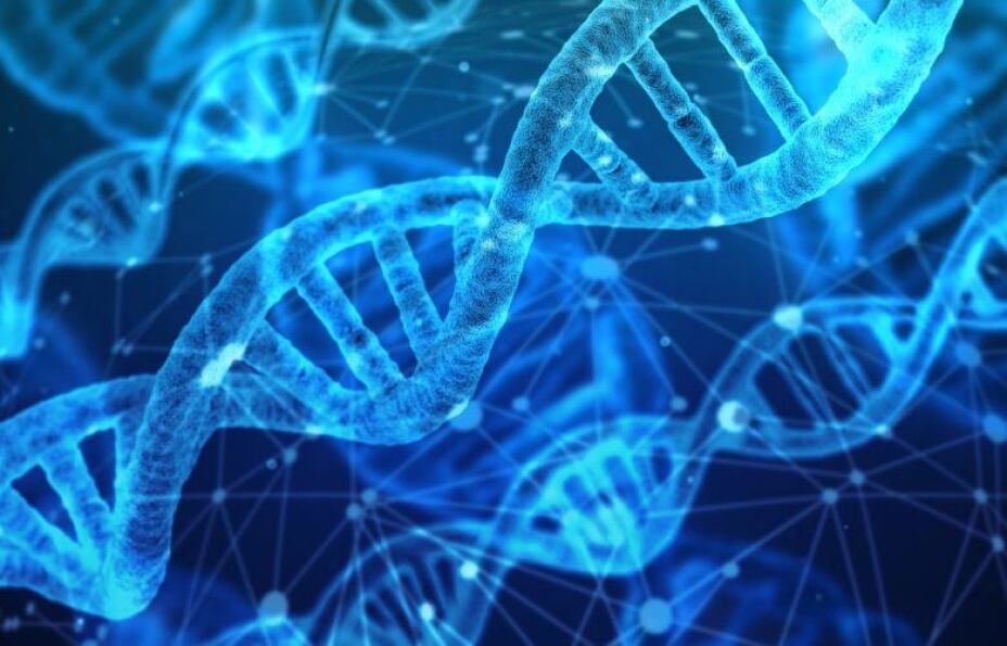 IRIS for Health: Innovative Werkzeuge, um die richtigen Erkenntnisse aus der Informationsflut zu ziehen