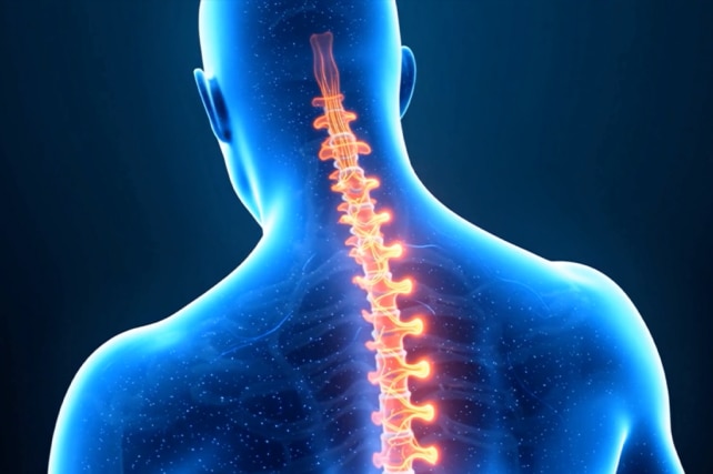 Digital Backbone Video