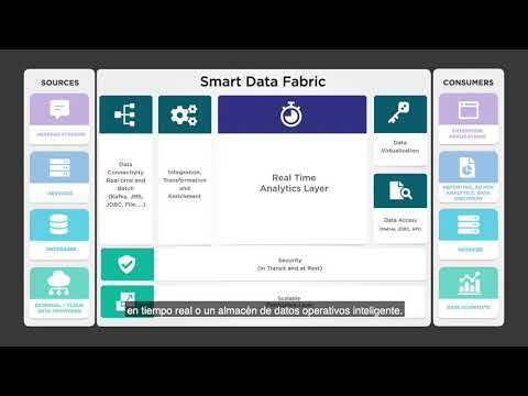 Smart Data Fabric