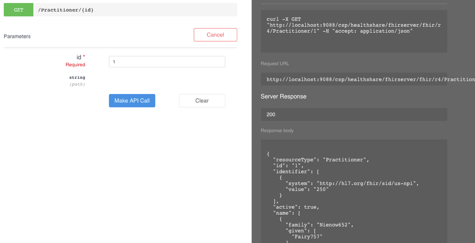 FHIR API screen shot