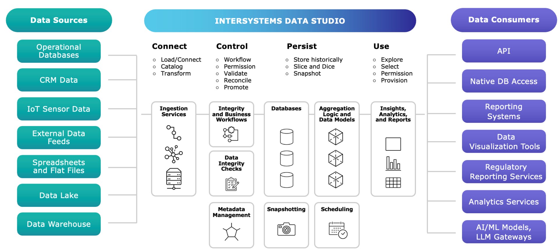 InterSystems Data Studio work flow diagram