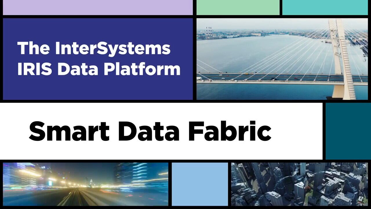 A Technical Overview of a Smart Data Fabric