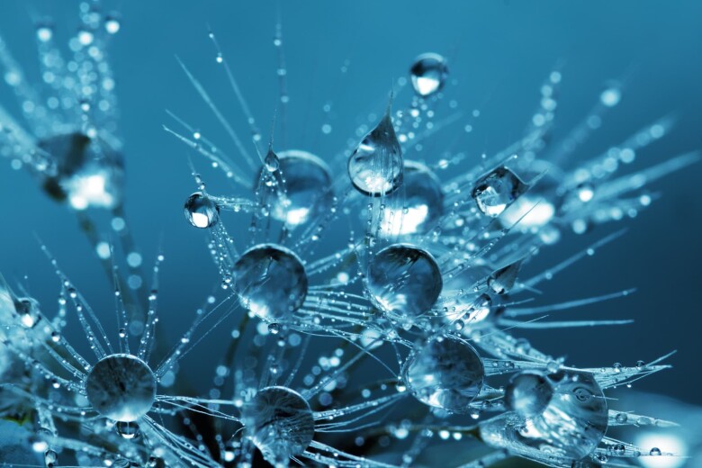 water freezing into ice crystals