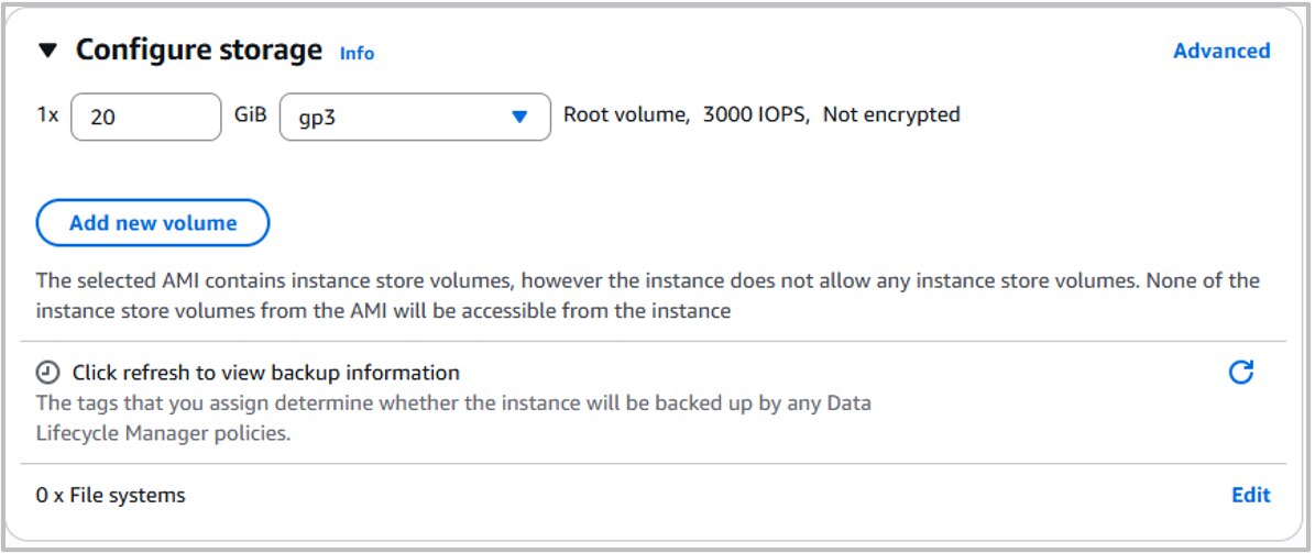 Screenshot of EC2 Launch Console Storage Settings =