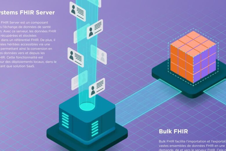 Infographie : FHIR Server