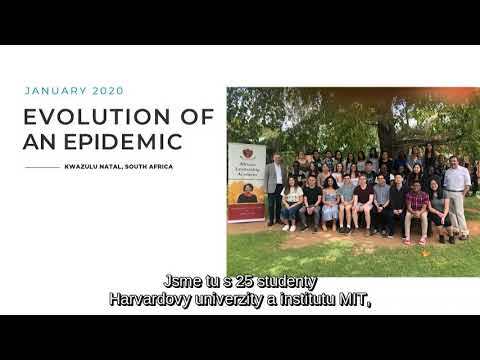 Pátrání po vakcíně na COVID 19