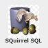 SQuirrel SQL
