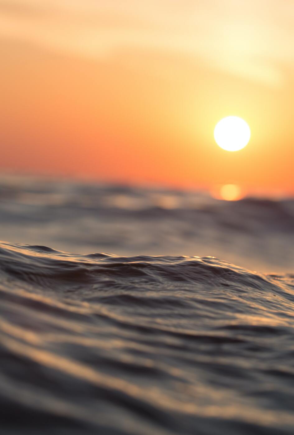 Waves